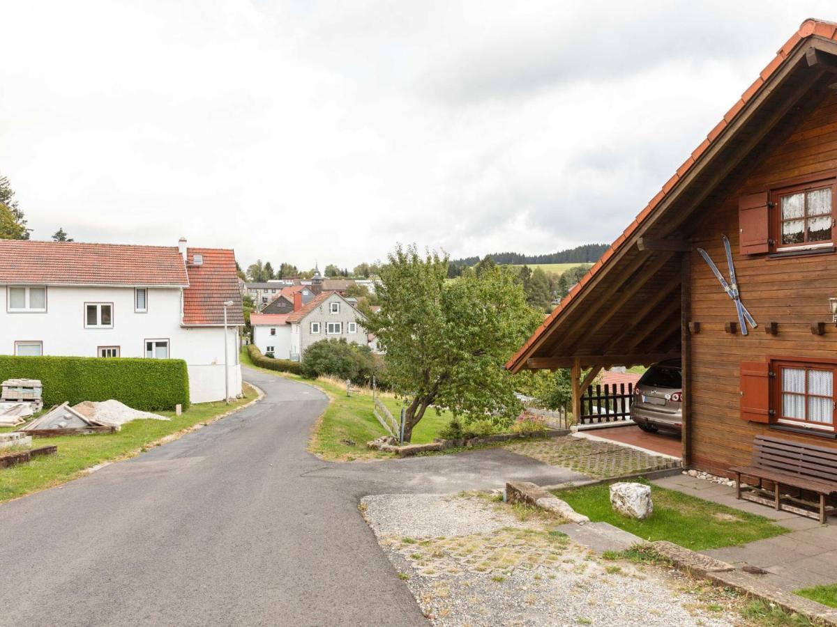 Chalet In Hinterrod Thuringia With Sauna Eisfeld Eksteriør billede